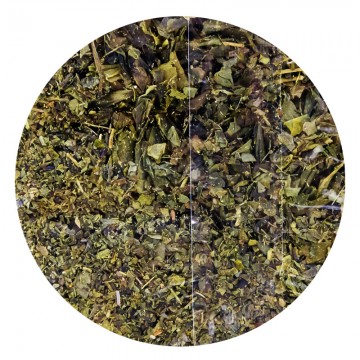 Herbata zielona Sencha Natura Wita 100 g - 3